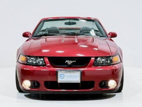 Used 2004 Ford Mustang Cobra RWD image 12
