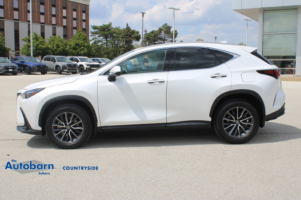 Used 2024 Lexus NX 350 AWD image 8