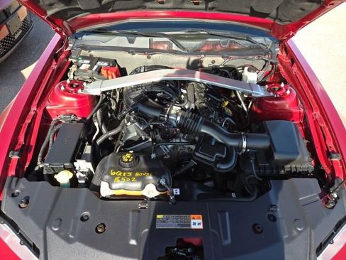 Used 2014 Ford Mustang Premium w/ Equipment Group 201A image 9