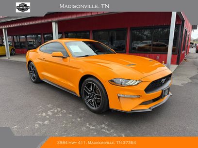 Used 2019 Ford Mustang Coupe w/ Equipment Group 101A