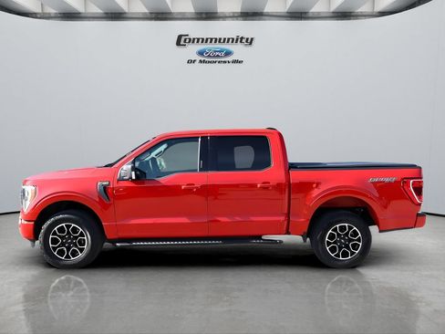 Used 2023 Ford F150 XLT w/ Equipment Group 302A High AWD/4WD image 8