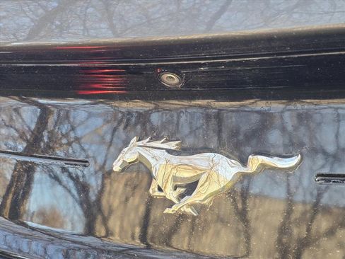 Used 2020 Ford Mustang Coupe w/ Equipment Group 101A image 10