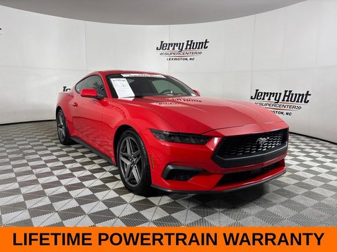 Used 2025 Ford Mustang Coupe RWD image 4