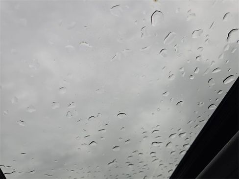 New 2025 Hyundai Elantra Limited image 22