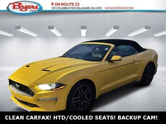 Used 2018 Ford Mustang Premium w/ Equipment Group 201A video 1