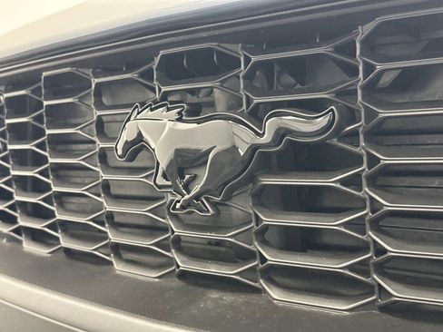 New 2026 Ford Mustang Coupe w/ Mustang Nite Pony Package image 11