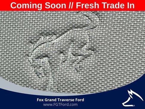Used 2021 Ford Bronco Sport Badlands AWD/4WD image 14