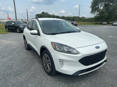 Used 2020 Ford Escape SEL AWD/4WD image 5