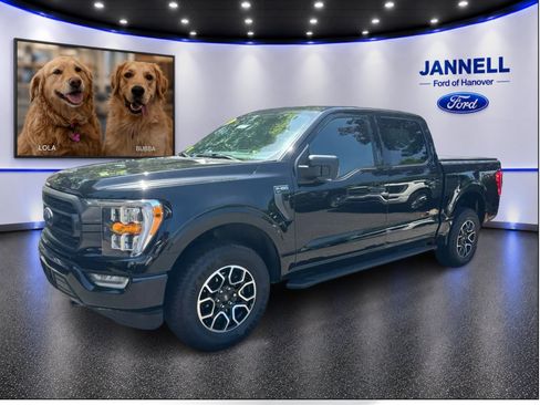 Used 2023 Ford F150 XLT w/ Equipment Group 302A High AWD/4WD image 1