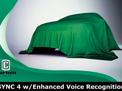 Used 2024 Ford F150 STX w/ STX Black Appearance Package image 6