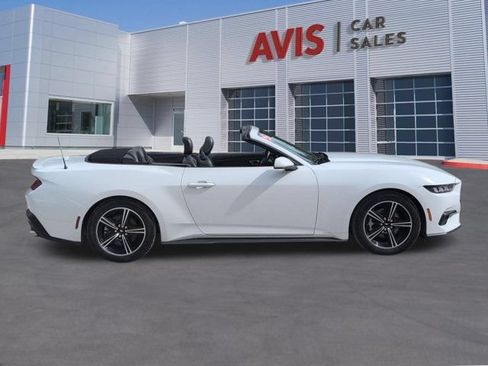 Used 2025 Ford Mustang Premium RWD image 5