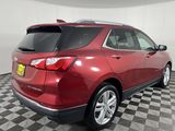 Used 2019 Chevrolet Equinox Premier image 5