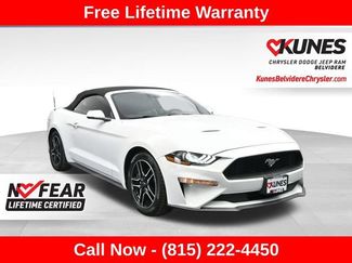 Used 2023 Ford Mustang Premium w/ Equipment Group 201A RWD video 1