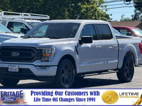 Used 2021 Ford F150 XLT w/ Equipment Group 302A High RWD image 8