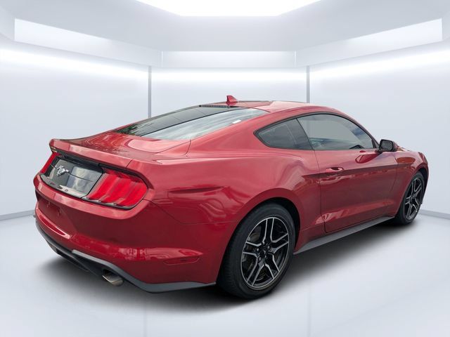 Used 2022 Ford Mustang Coupe w/ Equipment Group 101A RWD image 3