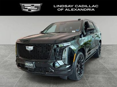 Used 2026 Cadillac Escalade Platinum Sport w/ LPO, ONYX Package