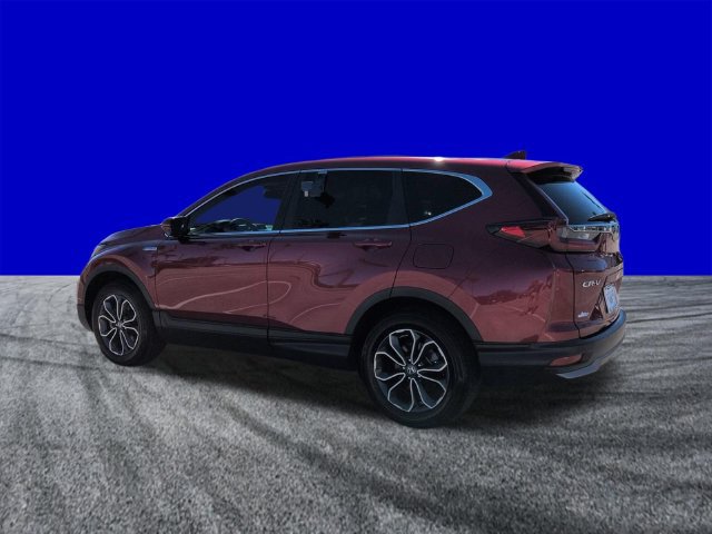 Used 2022 Honda CR-V EX-L image 6