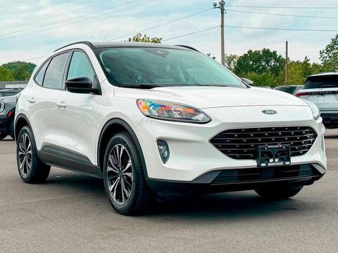 Used 2022 Ford Escape SEL w/ SEL Stealth AWD Package image 1