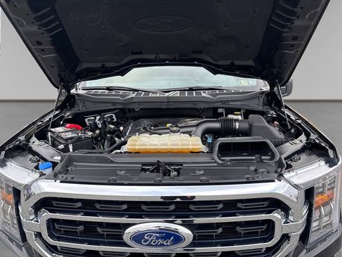 Used 2023 Ford F150 XLT w/ Equipment Group 302A High image 14