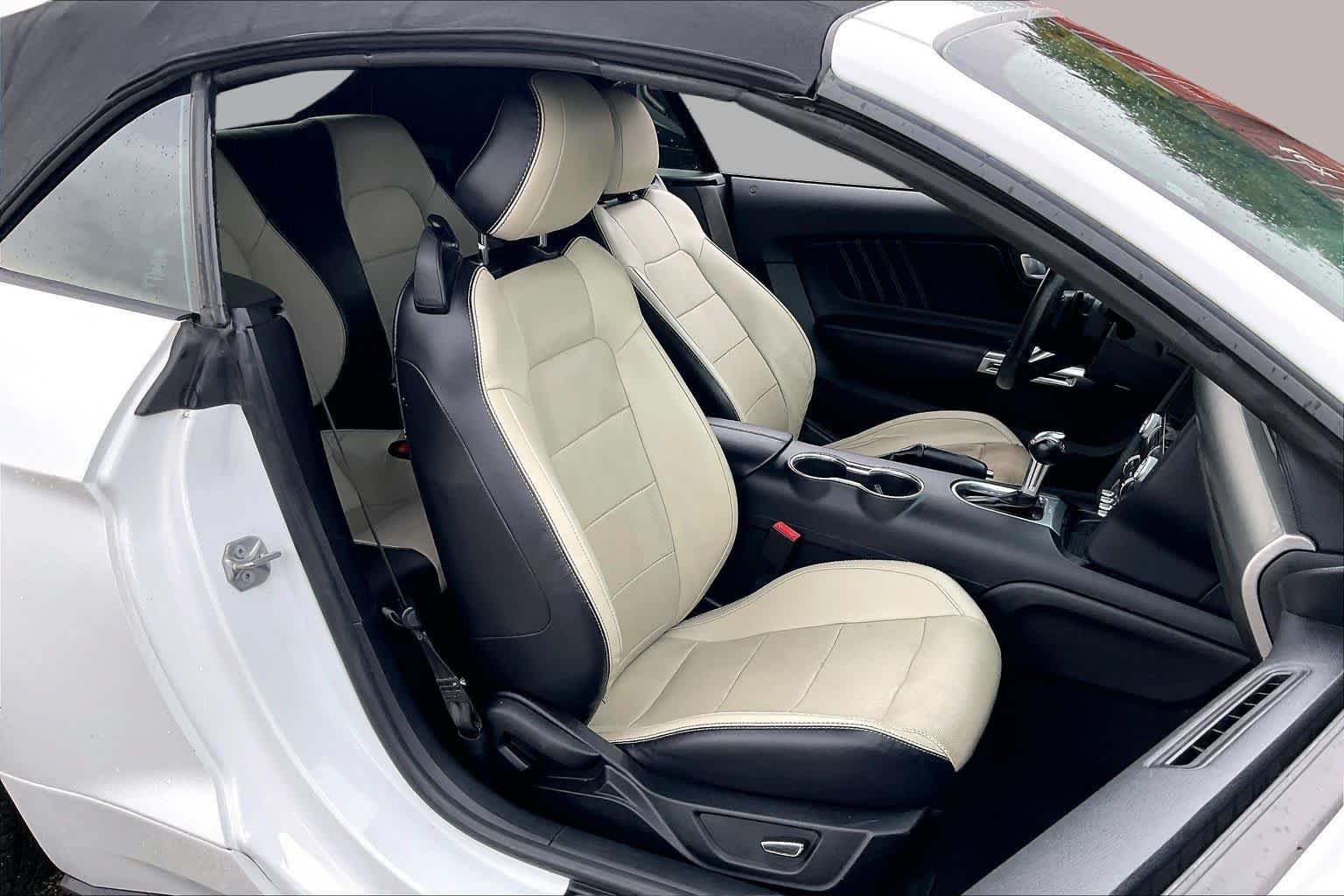 Used 2019 Ford Mustang Premium w/ Ford Safe & Smart Package RWD image 9