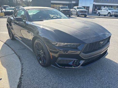 New 2026 Ford Mustang Coupe w/ Mustang Nite Pony Package image 2
