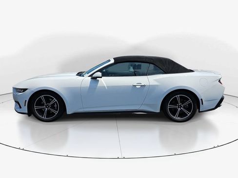 Certified 2024 Ford Mustang Premium RWD image 6