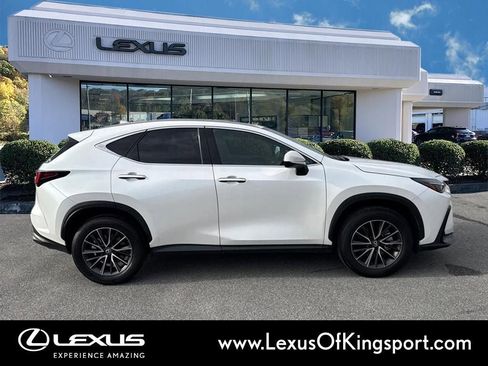 Used 2025 Lexus NX 250 FWD w/ Cold Area Package image 6