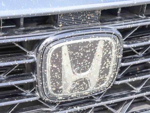 Used 2024 Honda Accord LX image 4