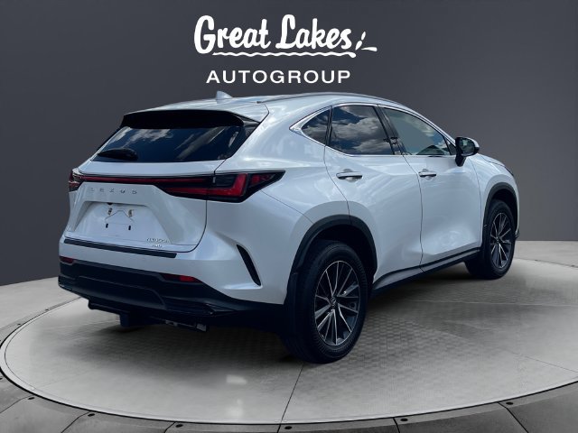 Used 2024 Lexus NX 350h AWD image 5