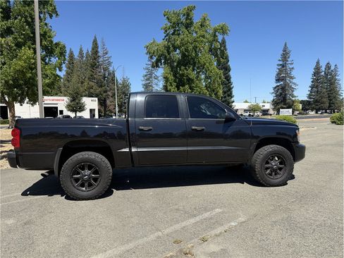 Used 2011 Dodge Dakota Big Horn AWD/4WD image 8