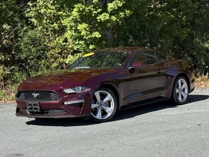 Used 2018 Ford Mustang Premium w/ Equipment Group 201A