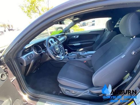 Used 2022 Ford Mustang GT w/ Equipment Group 301A RWD image 29