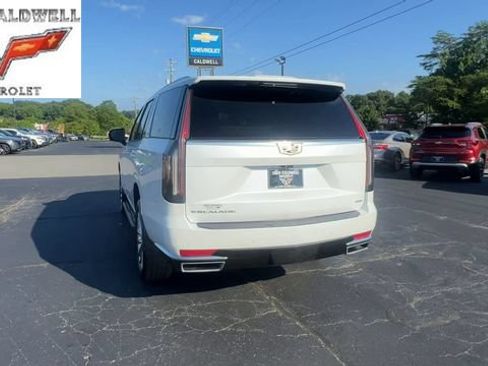 Used 2022 Cadillac Escalade Premium Luxury AWD/4WD image 7