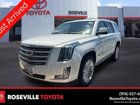 Used 2019 Cadillac Escalade Platinum AWD/4WD image 1