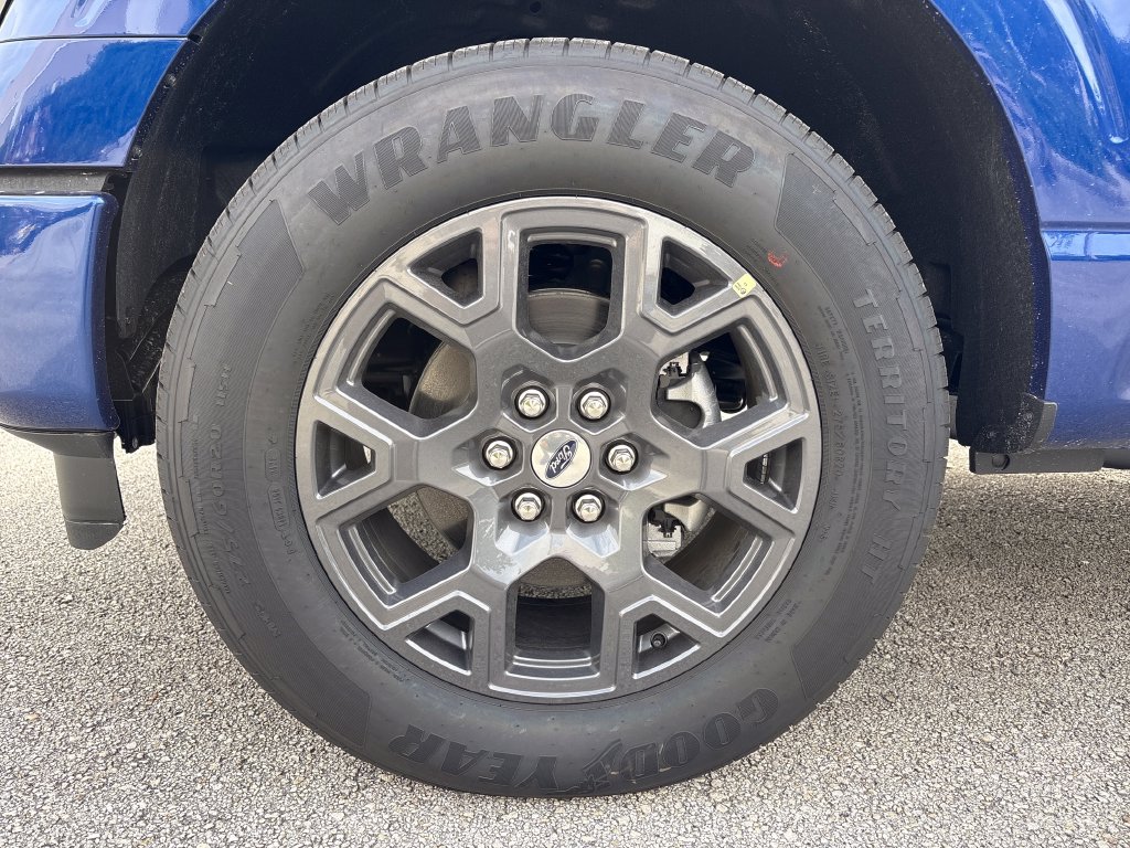 New 2026 Ford F150 STX w/ Equipment Group 200A RWD image 15
