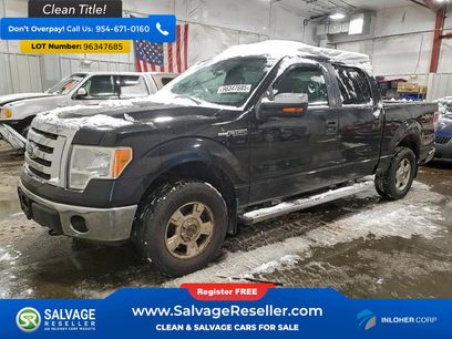 Used 2010 Ford F150 4x4 SuperCrew