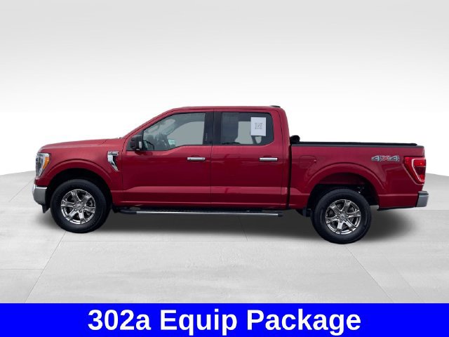 Used 2021 Ford F150 XLT w/ Equipment Group 302A High AWD/4WD image 2