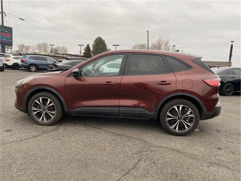 Used 2021 Ford Escape SE w/ SE Sport Appearance Package image 9