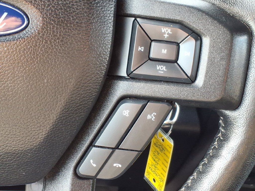 Used 2019 Ford F150 XLT w/ Equipment Group 302A Luxury AWD/4WD image 22