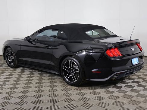 Used 2019 Ford Mustang Premium image 6