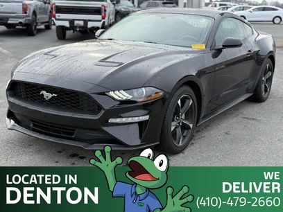 Used 2019 Ford Mustang Coupe w/ Equipment Group 101A