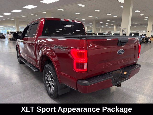 Used 2019 Ford F150 XLT w/ Equipment Group 302A Luxury AWD/4WD image 5