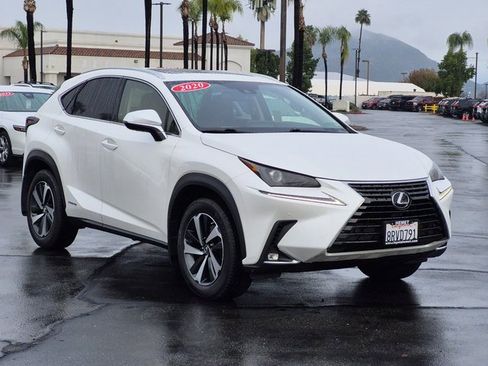 Used 2020 Lexus NX 300h AWD w/ Premium Package image 3