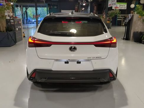 Used 2023 Lexus UX 250h F Sport AWD/4WD image 9