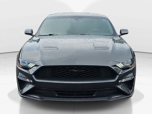 Used 2019 Ford Mustang Premium w/ Equipment Group 201A RWD image 9