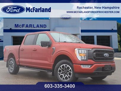 Used 2023 Ford F150 XLT w/ Equipment Group 302A High
