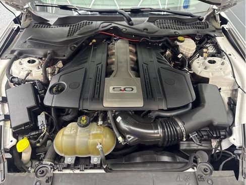 Used 2019 Ford Mustang GT w/ Equipment Group 301A RWD image 19