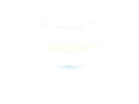 Used 2025 Nissan Pathfinder Platinum image 46