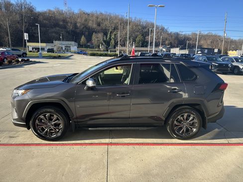 Certified 2025 Toyota RAV4 XLE Premium image 7