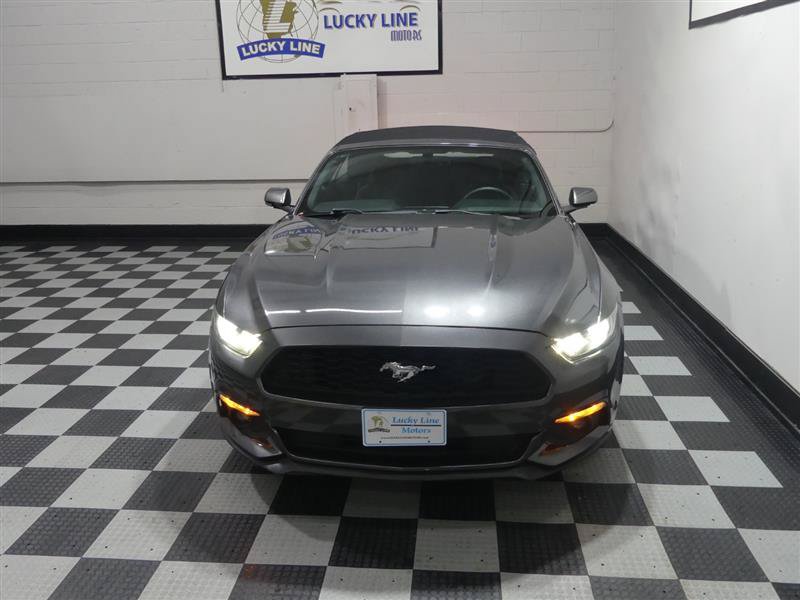 Used 2017 Ford Mustang Convertible w/ Equipment Group 051A RWD image 3